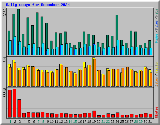 Daily usage for December 2024
