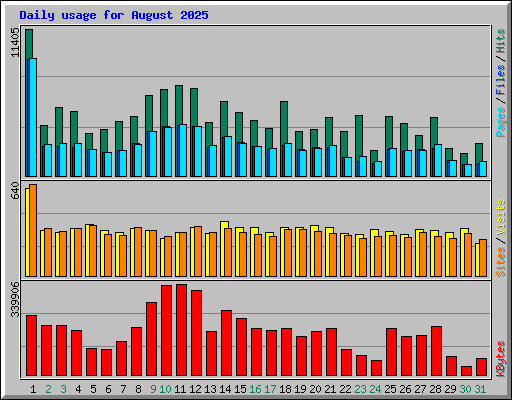 Daily usage for August 2025