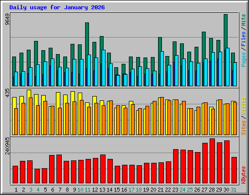 Daily usage for January 2026