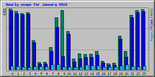 Hourly usage for January 2016