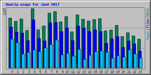 Hourly usage for June 2017
