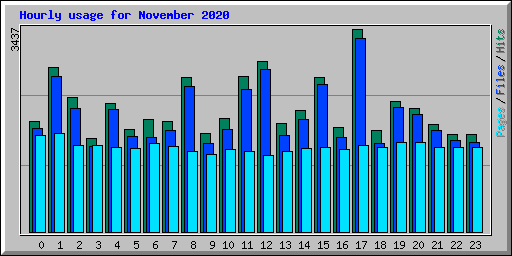 Hourly usage for November 2020