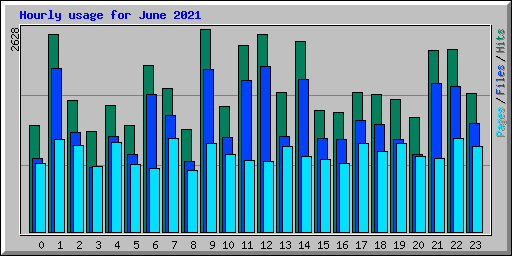 Hourly usage for June 2021