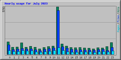 Hourly usage for July 2023