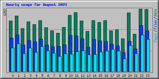 Hourly usage for August 2023