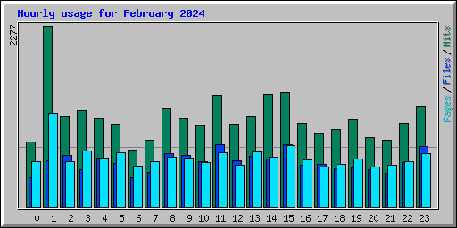 Hourly usage for February 2024