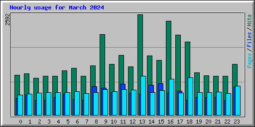 Hourly usage for March 2024