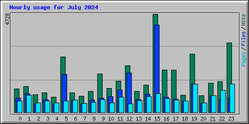 Hourly usage for July 2024