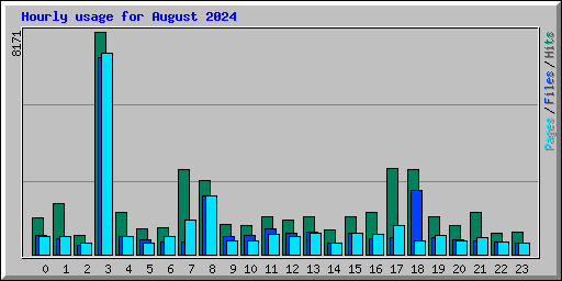 Hourly usage for August 2024
