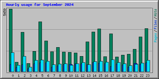 Hourly usage for September 2024