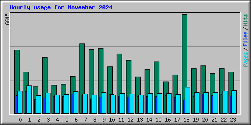Hourly usage for November 2024