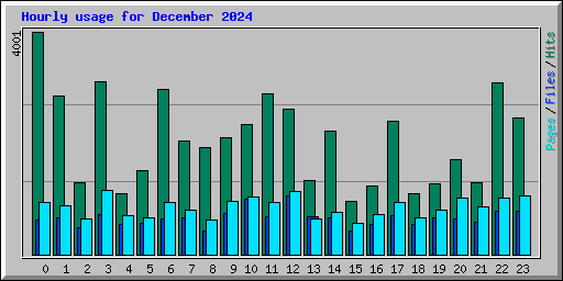 Hourly usage for December 2024