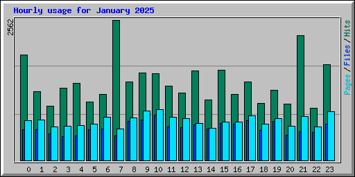 Hourly usage for January 2025