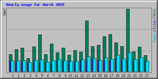 Hourly usage for March 2025