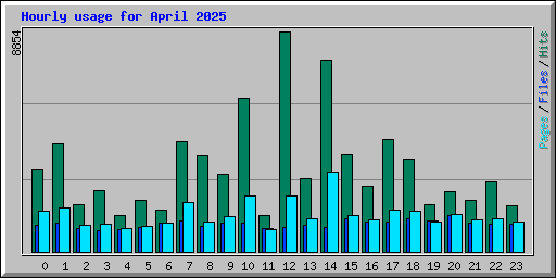 Hourly usage for April 2025