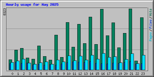 Hourly usage for May 2025
