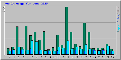 Hourly usage for June 2025