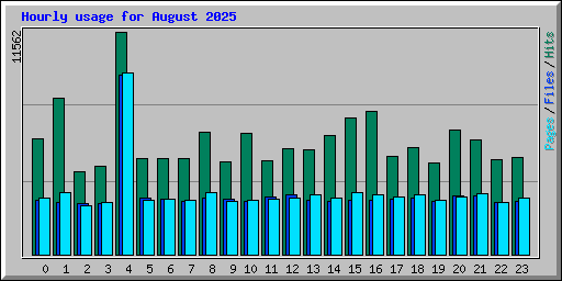 Hourly usage for August 2025