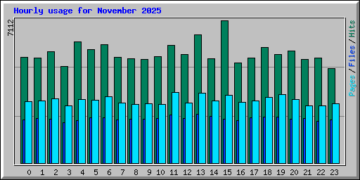 Hourly usage for November 2025