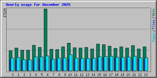Hourly usage for December 2025