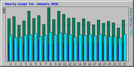 Hourly usage for January 2026