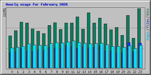 Hourly usage for February 2026
