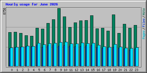 Hourly usage for June 2026