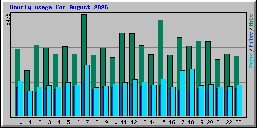 Hourly usage for August 2026