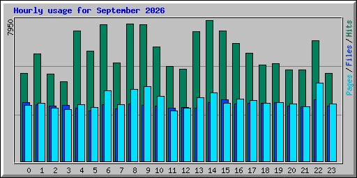 Hourly usage for September 2026